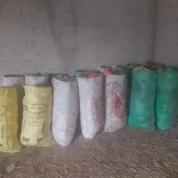 کیسه خالی