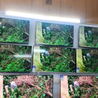 جشنواره تلویزیون های اسنوا|تلویزیون و پروژکتور|زنجان, |دیوار