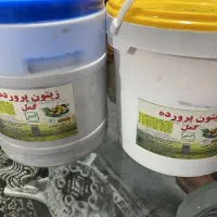 زیتون وترشی