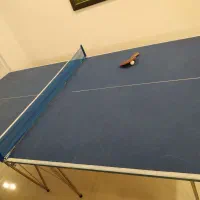میز پینگ پنگ