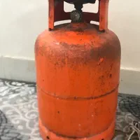 پیک نیک دو قلو