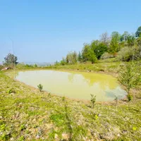 مثه این زمین نداریم خدایش تو گیلان صفر جنگل|فروش زمین و ملک کلنگی|شفت, |دیوار