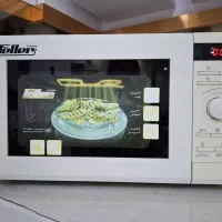 مایکروویو فلر آلمان