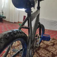 دوچرخه26|دوچرخه، اسکیت، اسکوتر|گنبد کاووس, |دیوار