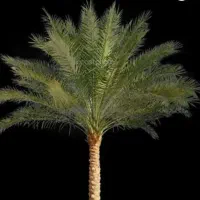 اجاره خرما