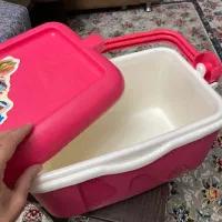 جایخدونی با کیف همراه|کوهنوردی و کمپینگ|رشت, کاکتوس|دیوار