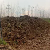 خاک مرغوب باغی|خدمات باغبانی و درختکاری|سنگر, |دیوار