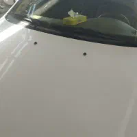 سمند LX مدل ۹۹ فروشی|خودرو سواری و وانت|چابهار, |دیوار