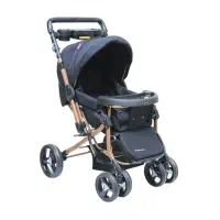 کالسکه دلیجان مدل بنیتا