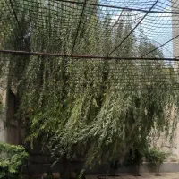 (بهترین دسترسی تراس بزرگ) ملک الشعرا فاز۸|فروش آپارتمان|پردیس, فاز ۸|دیوار