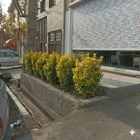 انجام  خدمات طراحی فضای سبز باغ و ویلا و محل کار|خدمات باغبانی و درختکاری|پردیس, شهرک صنعتی خرمدشت فاز ۷|دیوار