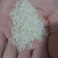 برنج فجرسوزنی درجه ۱|خوردنی و آشامیدنی|علیآباد کتول, |دیوار