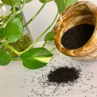 ادویه و خشکبار کاشانه|خوردنی و آشامیدنی|کاشان, پاقپان|دیوار