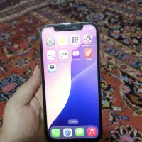 آیفون ۱۲پرو (iphone 12 pro)|موبایل|شیراز, لاله|دیوار