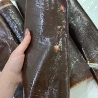 لواشک گوجه سبز /سیب /زردالو البالو