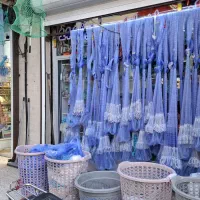 به یک خانم ادمین کار درست حضوری خوش سلیقه