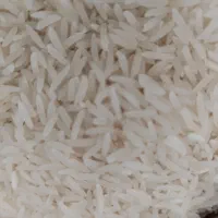 برنج شمال صددرصد تضمینی