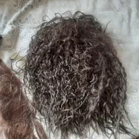 کلاه گیس مو طبیعی|آرایشی، بهداشتی، درمانی|تهران, شادآباد|دیوار