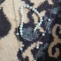 دستبند و گردند پرورشی