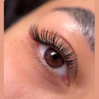 اکستنشن، مدل