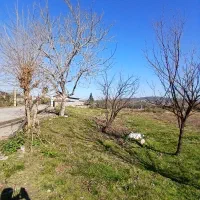 خرید-4-تا-پلاک-200-متری-با-مجوز-ساخت-جنگلی