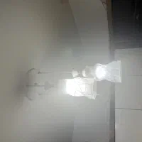 لوستر دوشاخه