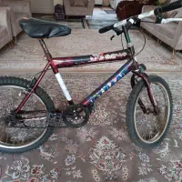 دوچرخه|دوچرخه، اسکیت، اسکوتر|شاهین‌شهر, شهرک گلدیس|دیوار