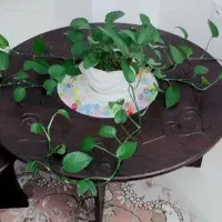 جلومبلیباچهارتامیزعسلی|مبلمان خانگی و میز عسلی|گلستان (تهران), |دیوار