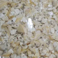 کالنگ‌یا‌صدف|ماهی|بندرعباس, |دیوار