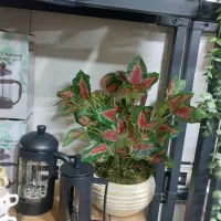 گل مصنوعی|گل مصنوعی|ورامین, ورامین|دیوار