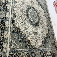 دو قطعه فرش ۱۲ متری|فرش|نوشهر, |دیوار