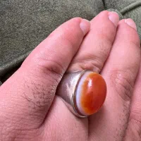 سه پوست کهنه پرگاری