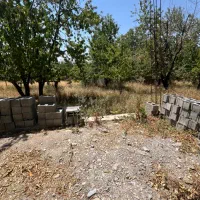 باغ گیلاسی عرب اباد