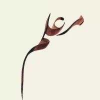 معلم خصوصی در دروس ریاضی ،زبان انگلیسی .