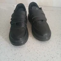 کفش کتونی|کیف، کفش، کمربند|رشت, کوی مهر|دیوار