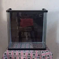 آکواریوم شیشه خم