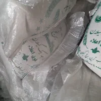 برنج هاشمی گیلان
