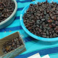 خرمای کبکاب اهرم