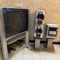 تلوزیون
