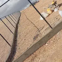 استخدام کارکر ساده