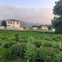 ۴۰۲متر زمین مسکونی در واجارگاه|فروش زمین و ملک کلنگی|واجارگاه, |دیوار