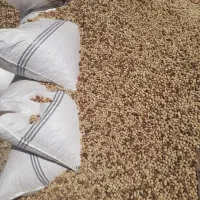 خرید پسته پوک و روابی