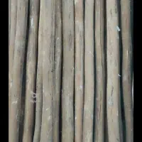 خرید و فروش انواع چوب در حومه بوکان وشاهیندژ|خدمات باغبانی و درختکاری|بوکان, |دیوار