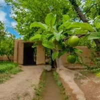 راهنمایی