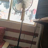 پنکه ایستاده