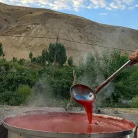 آب گیری گوجه با دستگاه تمام اتوماتیک و استیل|خدمات پیشه و مهارت|پیرانشهر, |دیوار