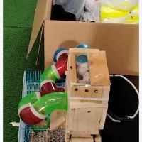 همستر کیوت فروش خیلی فوری به دلیل مسافرت|موش و خرگوش|مشهد, رسالت|دیوار