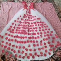 لباس عروس|لباس|شاهینشهر, عطار|دیوار