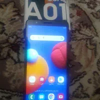 A01