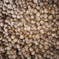 گردوی درجه یک|خوردنی و آشامیدنی|خاوه, |دیوار